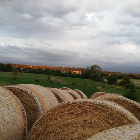 Il Podere della piazza-3